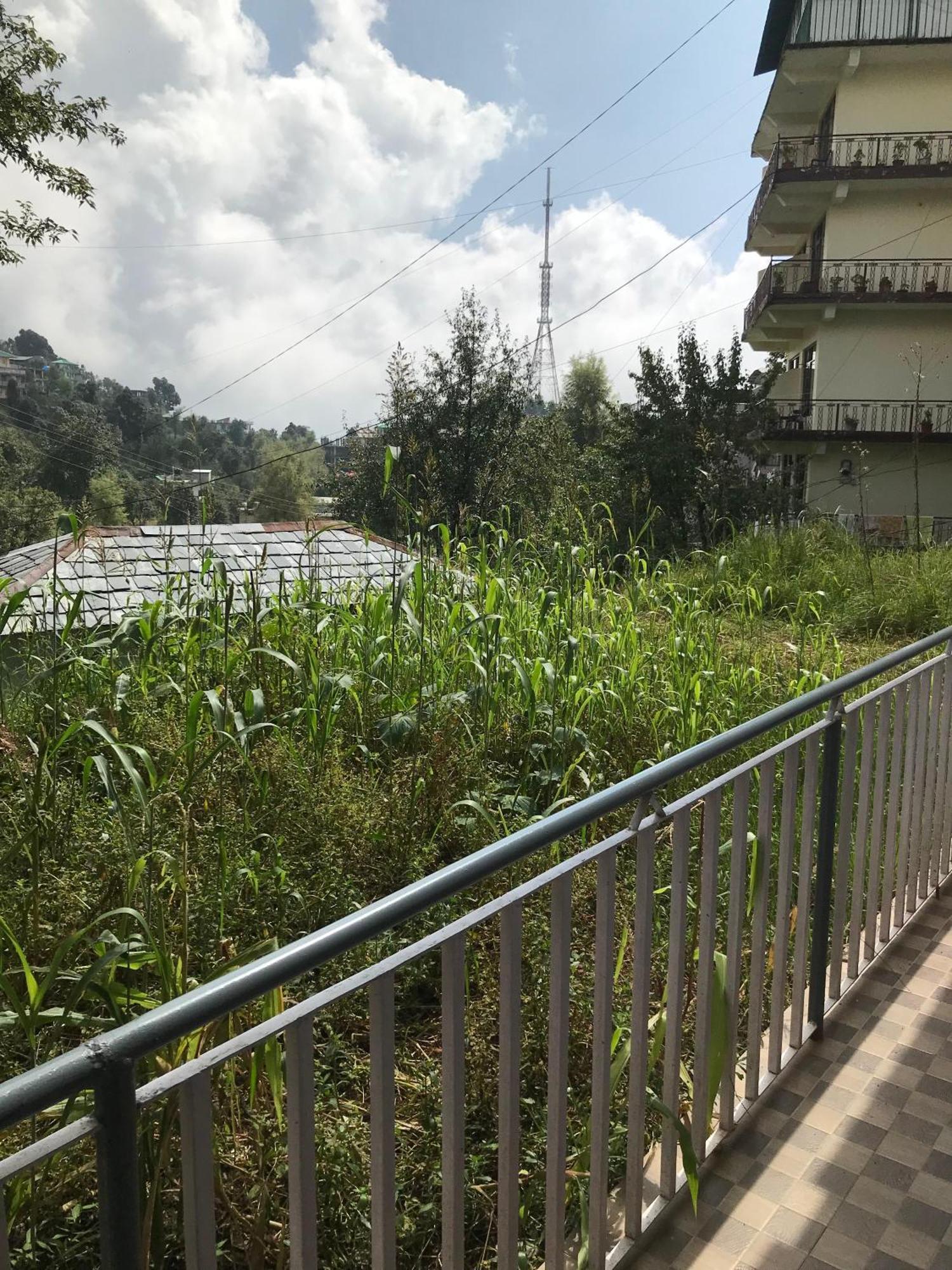 Mcleodganj Diaries Guest House Дхарамсала Екстериор снимка
